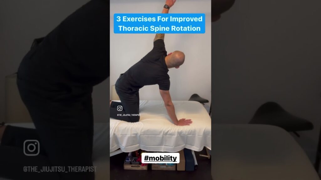 Improve Spine Mobility With 3 Exercises #shorts #mobility
