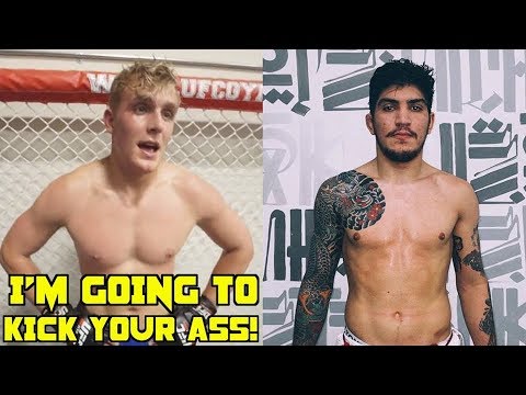 Jake Paul wants Dillon Danis fight, Dillon Danis open to boxing match?, Paulo Miyao talks MMA plans