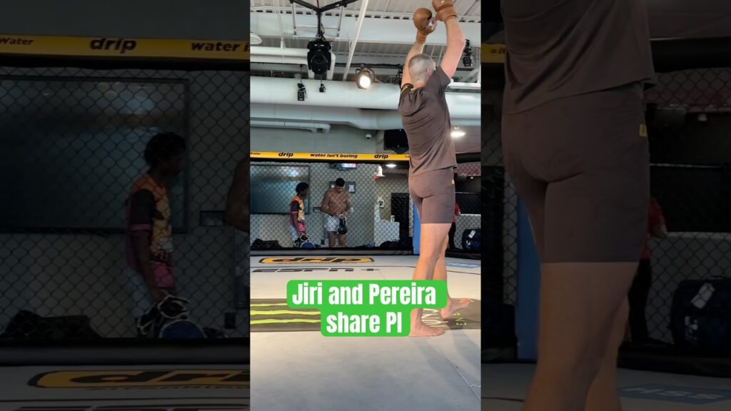 Jiri Prochazka and Alex Pereira share the UFC PI