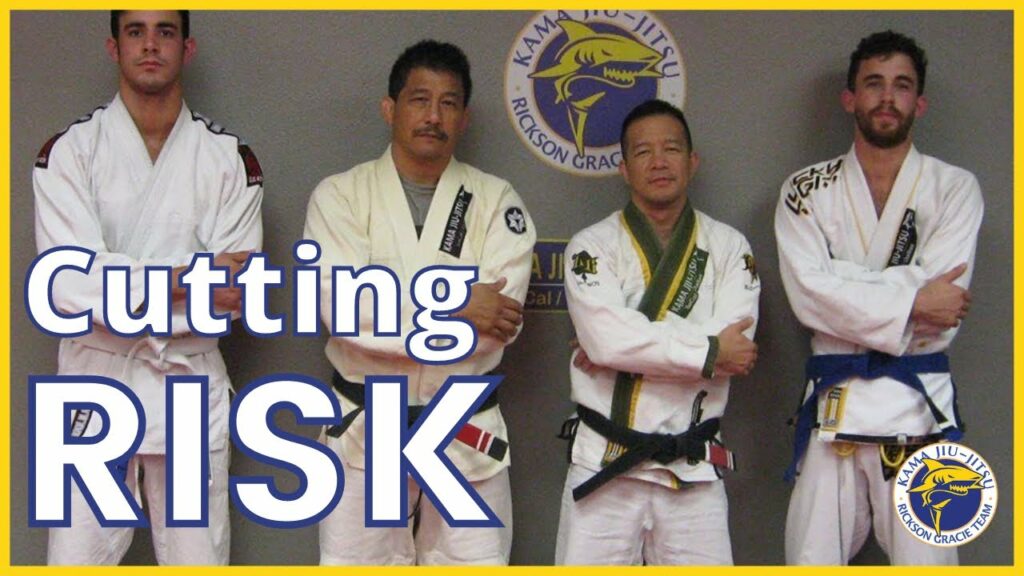 Jiu-Jitsu Risk Mitigation￼ 👍🏼