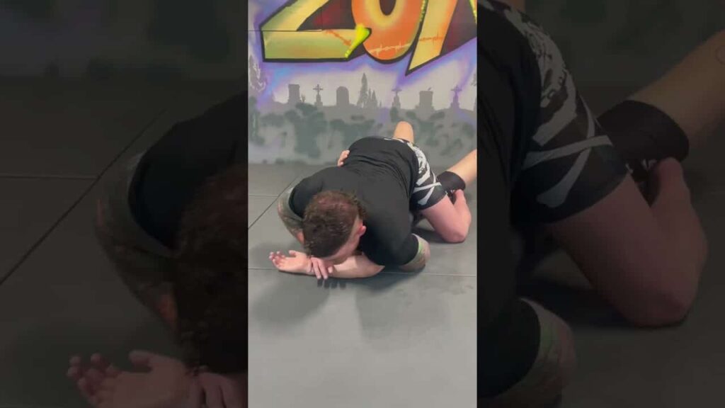 Jiu-Jitsu Short Shorts: The Fedor Americana