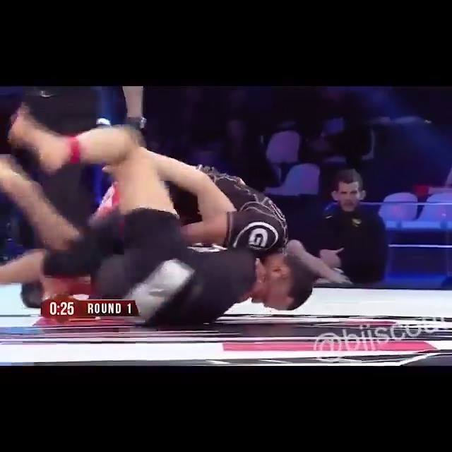 Joao Miyao Darce vs Saddle