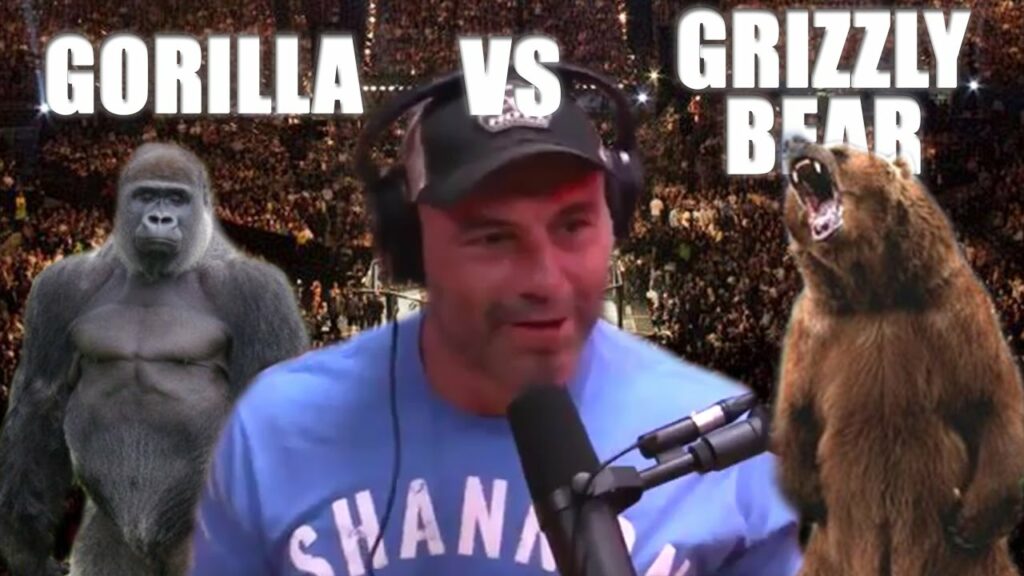 Joe Rogan Breakdown on Gorilla vs Grizzly Bear