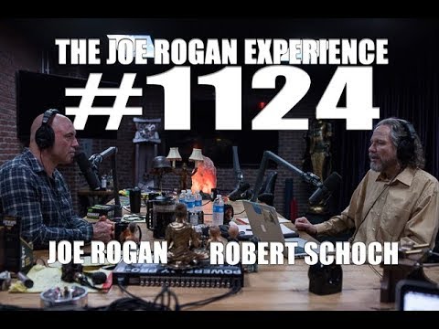Joe Rogan Experience #1124 - Robert Schoch