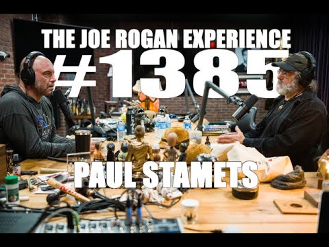 Joe Rogan Experience #1385 - Paul Stamets