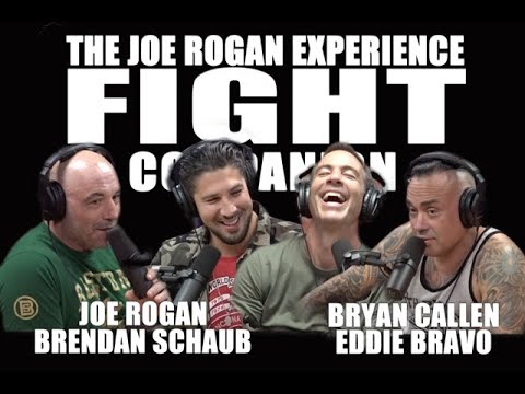 Joe Rogan Experience - Fight Companion - February 22, 2020
