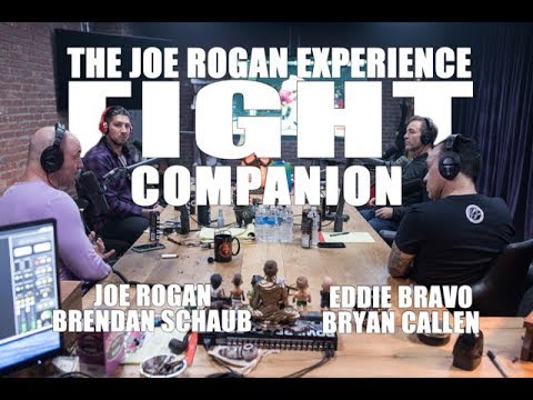 Joe Rogan Experience - Fight Companion - November 24, 2018