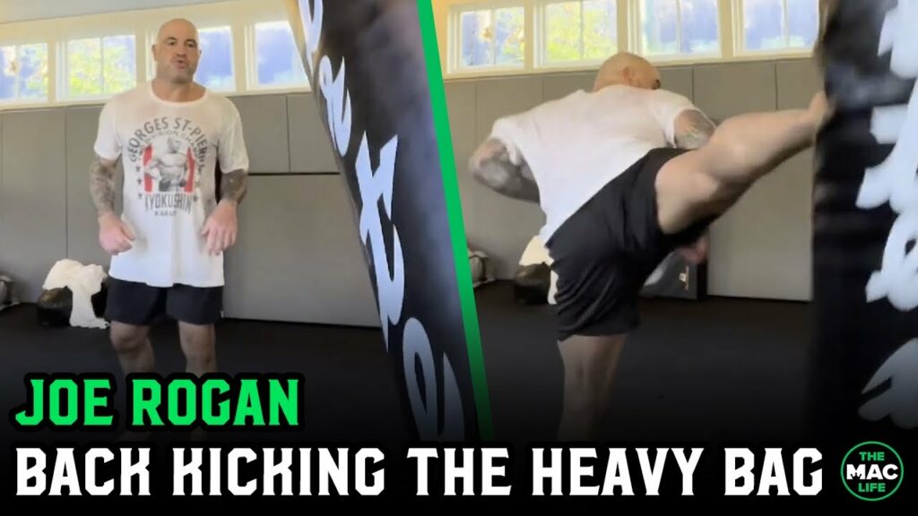Joe Rogan back to destroying the heavy bag with spinning kicks