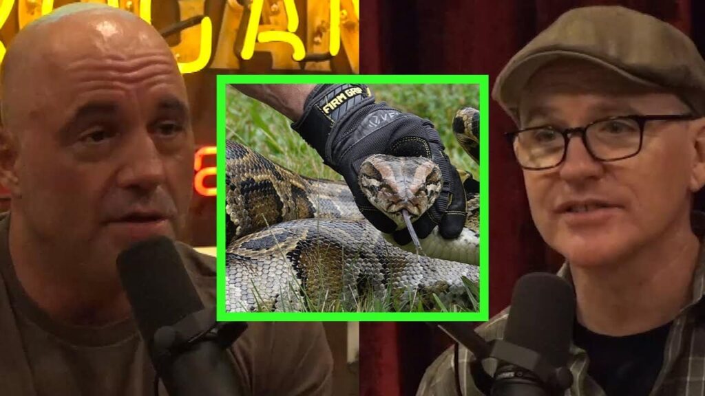 Joe Talks Pythons and Alligators with Greg Fitzsimmons