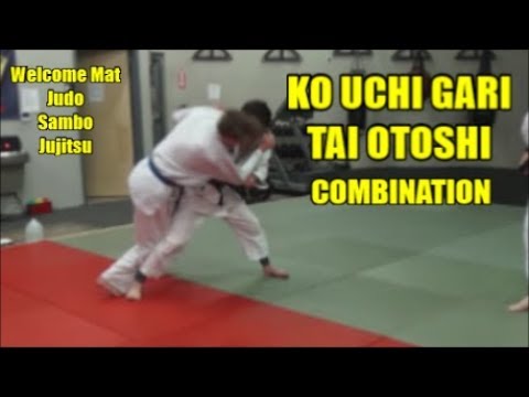 KO UCHI GARI TAI OTOSHI COMBINATION