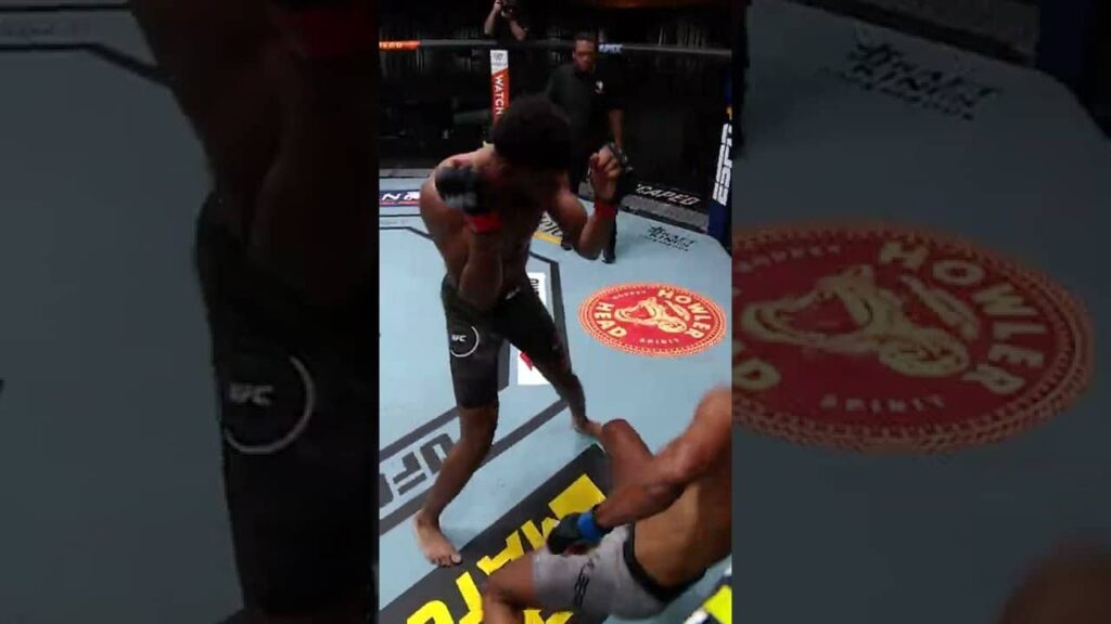 Kennedy Nzechukwu Puts an End to Things With a Nasty Right Hook 👊