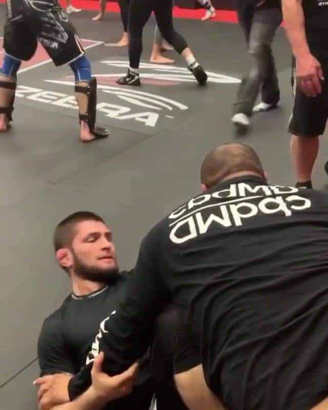 Khabib trying to submit Daniel Cormier