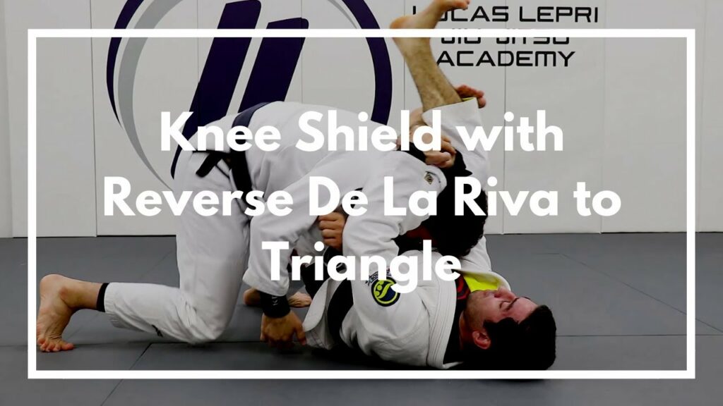 Knee Shield with Reverse De La Riva to Triangle