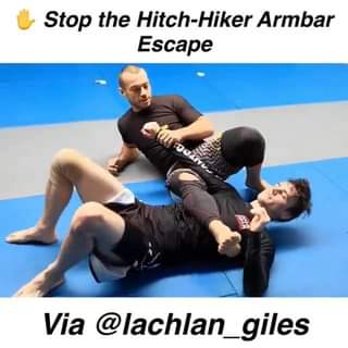 Lachlan Giles - How to Stop The Hitch-hiker Escape