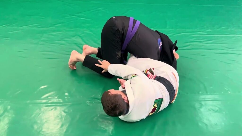 Lapel Guard: Gubber Guard to Belly Down Armbar