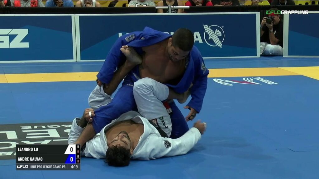 Leandro Lo vs André Galvão / Heavy Weight GP 2017