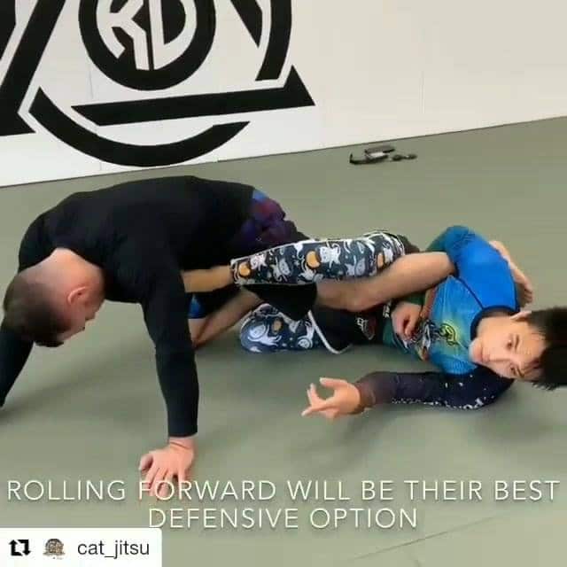 Leglock Series - X guard Options by @cat_jitsu