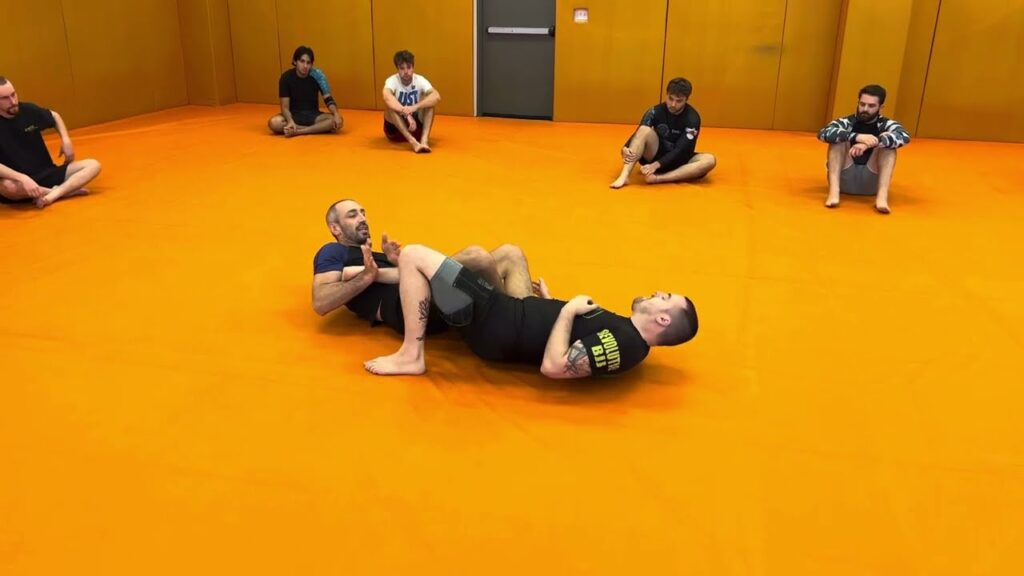 Leglock Transitions Sitting to Straight Ankle Lock to Crossbody Ankle Lock to 50/50 Heel Hook