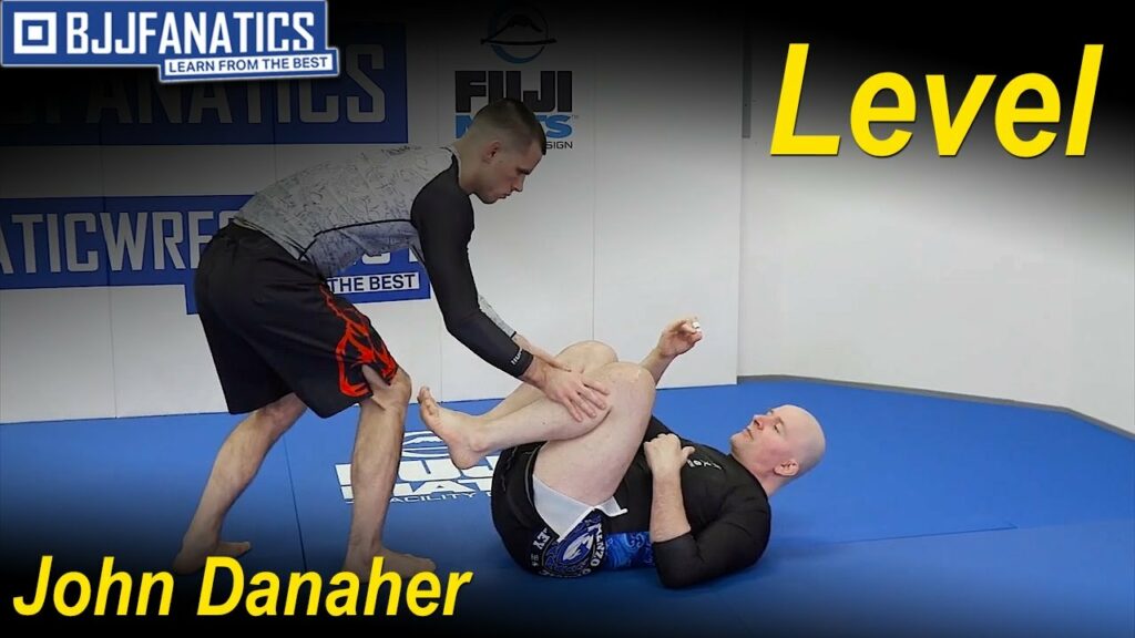 Level by John Danaher
