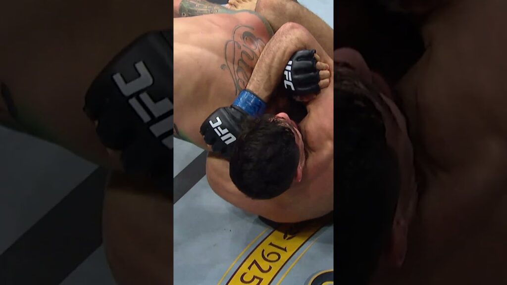 Luque vs Chiesa π² #ufcrio