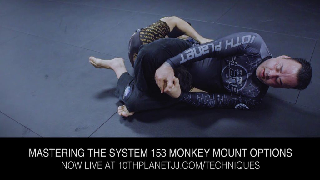 MTS 153 Monkey Mount Options