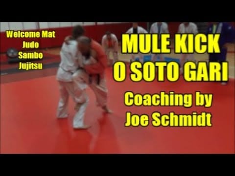 MULE KICK O SOTO GARI