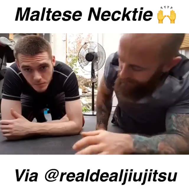 Maltese Necktie