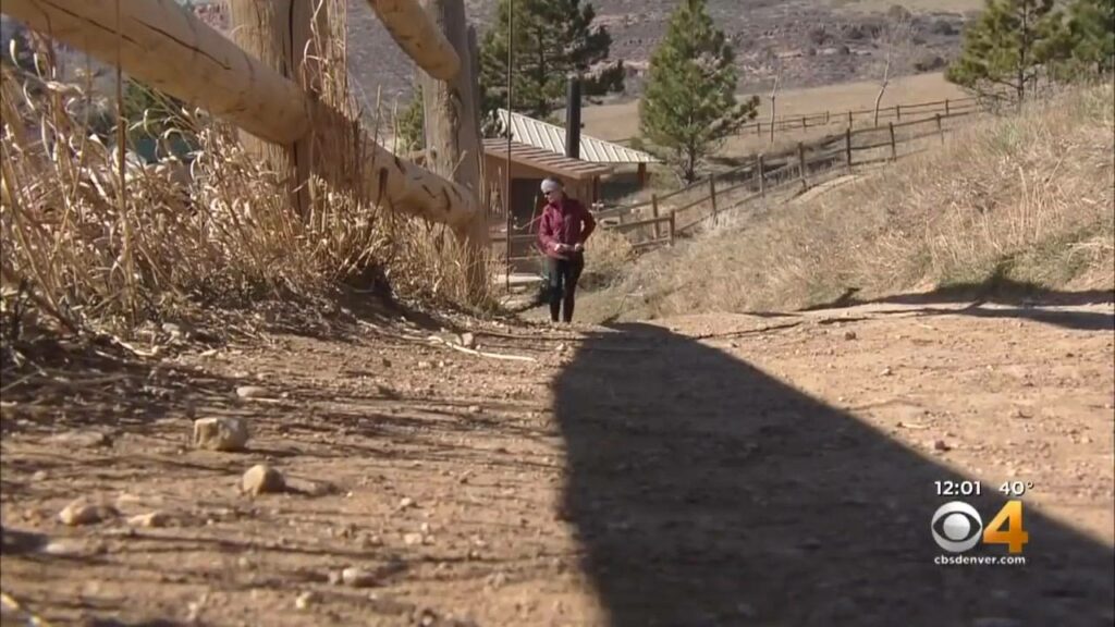 Man kills a Cougar with his Bare Hands After Attack... Choke?? Thoughts