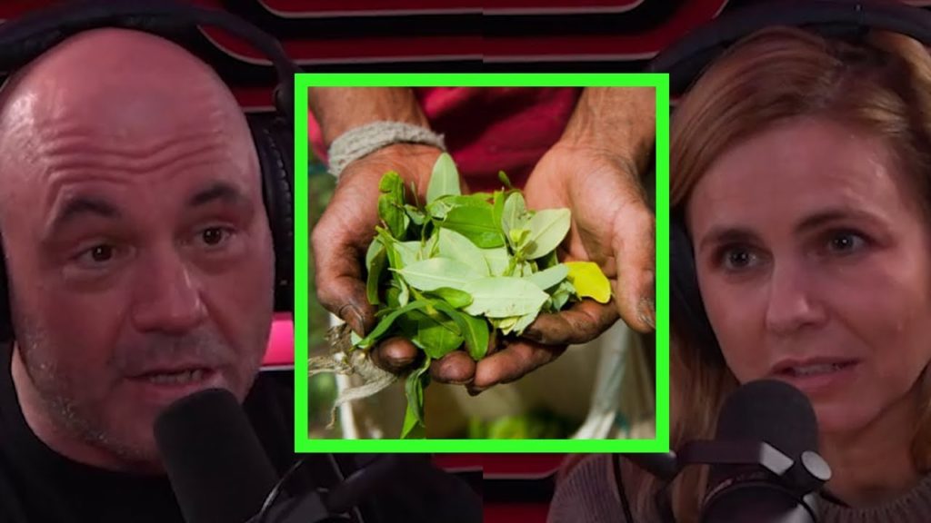 Marianna van Zeller Infiltrated a South American Cocaine Operation