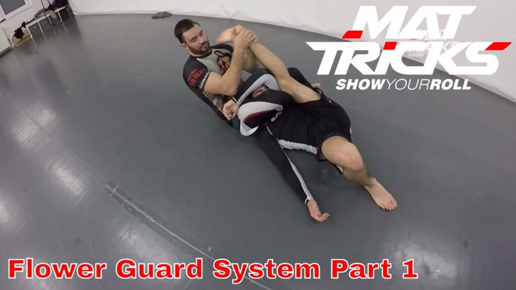 Matrix Jiu Jitsu Flower Guard System Part 1