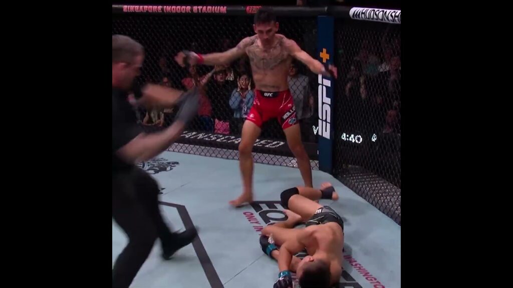 Max Holloway with the WALK OFF KO π³ #ufc