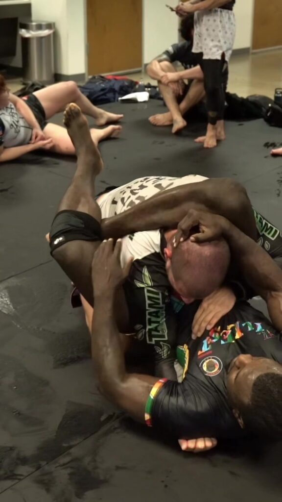 Mounted triangle Have your mounted triangle improved since i showed the detail