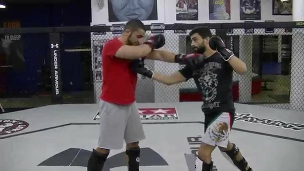 Muay Thai Frame Defense - Firas Zahabi