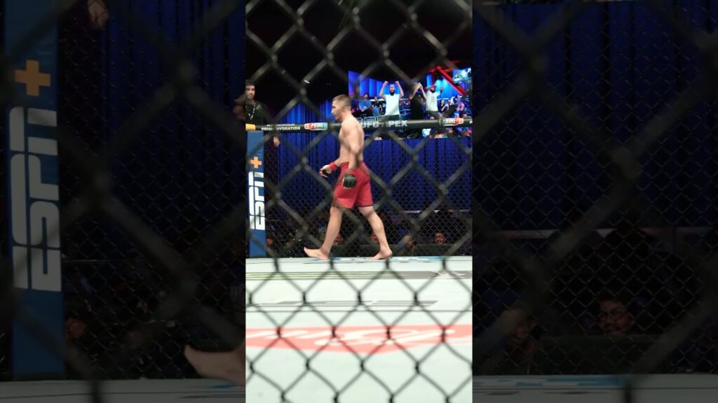 NASTY BODY KICK KNOCKOUT π¨ #dwcs