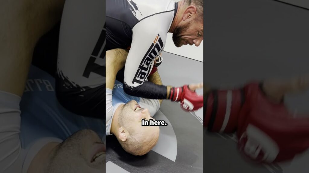 Nastiest Ground and Pound for MMA with Rafael Lovato   #bjjblackbelt #bjjwhitebelt