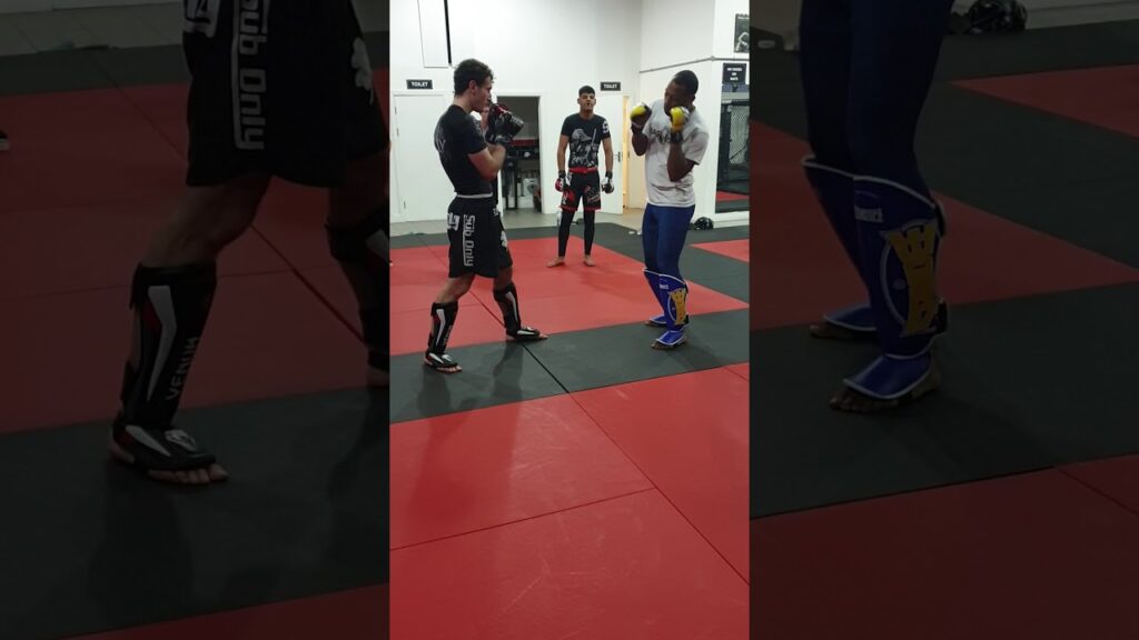 Nathan Jones (Mr Bag & Tag) striking seminar - finishing with a punch