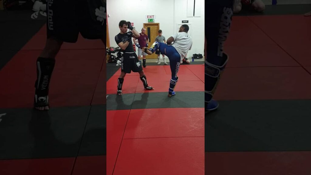 Nathan Jones (Mr Bag & Tag) striking seminar - failed roundhouse to spin options