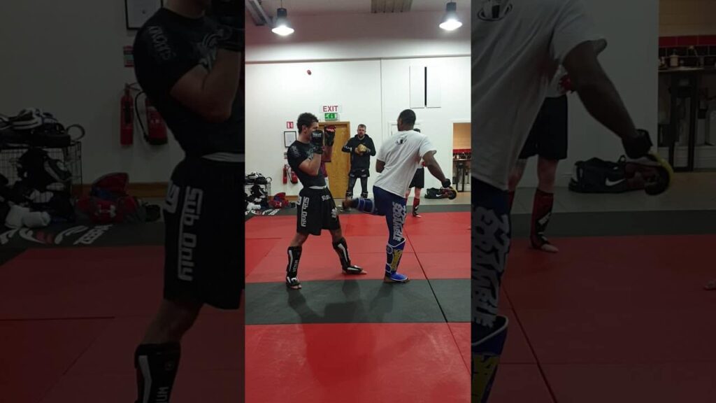 Nathan Jones (Mr Bag & Tag) striking seminar - other side