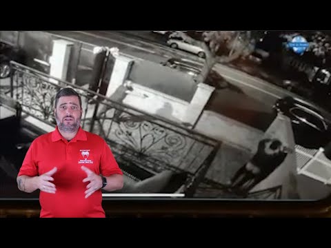 New Yorker Has Darn Near Perfect Defensive Gun Use