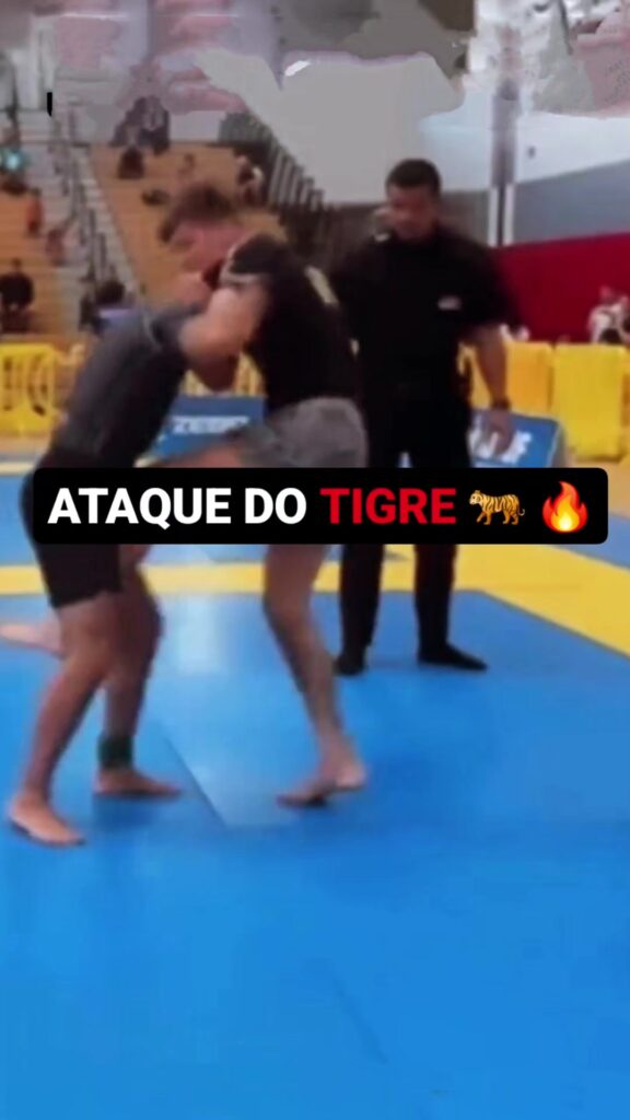O bote do tigre - The tiger's pounce Video: DM Estude Jiu-Jitsu com a