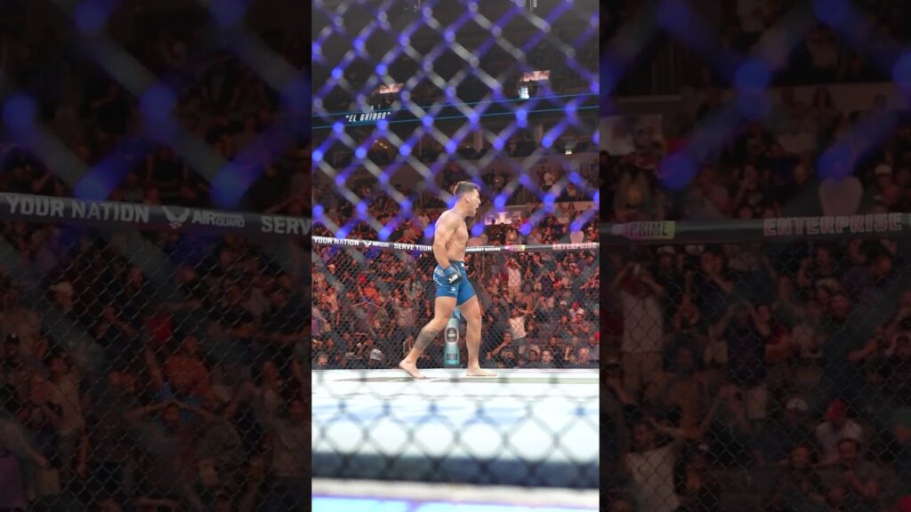 OMGGGGGGG, insane head kick from Ribovics!! π³ #ufcstlouis