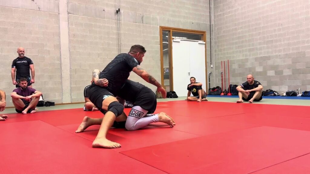 Octopus + Arm Triangle Guillotine