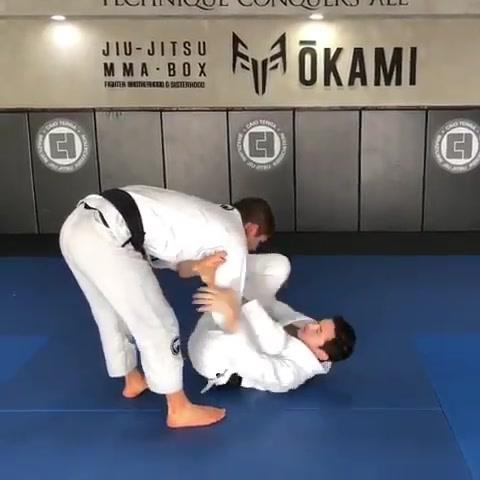 Omoplata counter by 2 of the best @mikeymusumeci and @caioterrabjj