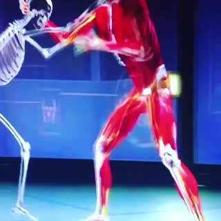 Ouchi Gari to ankle lock from Fight science...National Geographic... @natgeo