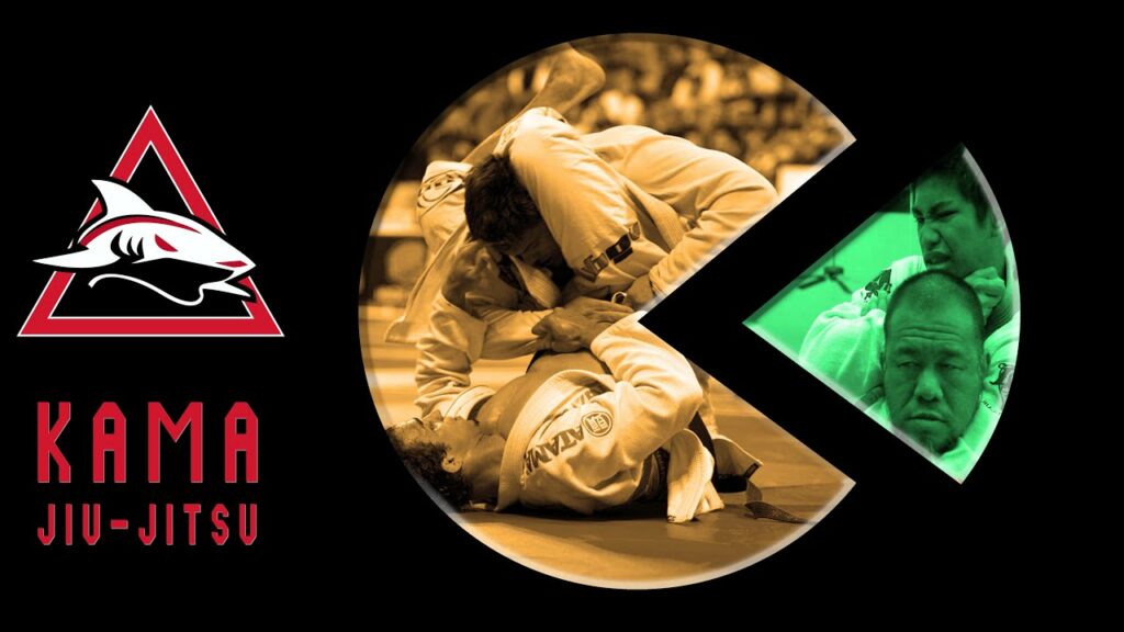 Pareto Principle: How to Know Which BJJ Moves to Learn - Kama School Time