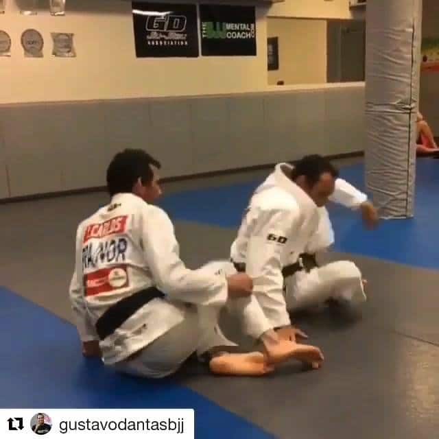 Passing and attacking the butterfly guard with Gustavo Dantas.