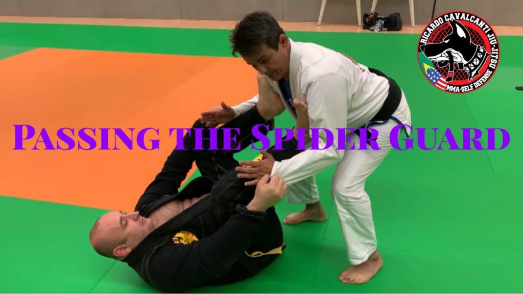 Passing the Spider Guard