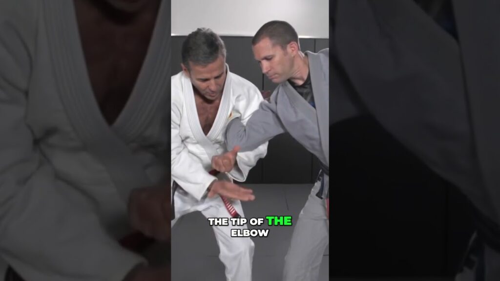 Pedro Sauer Standing Self-Defense