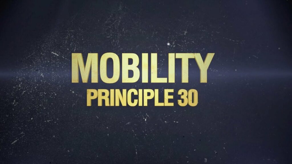Principle 30: Mobility (The 32 Principles of Jiu-Jitsu)