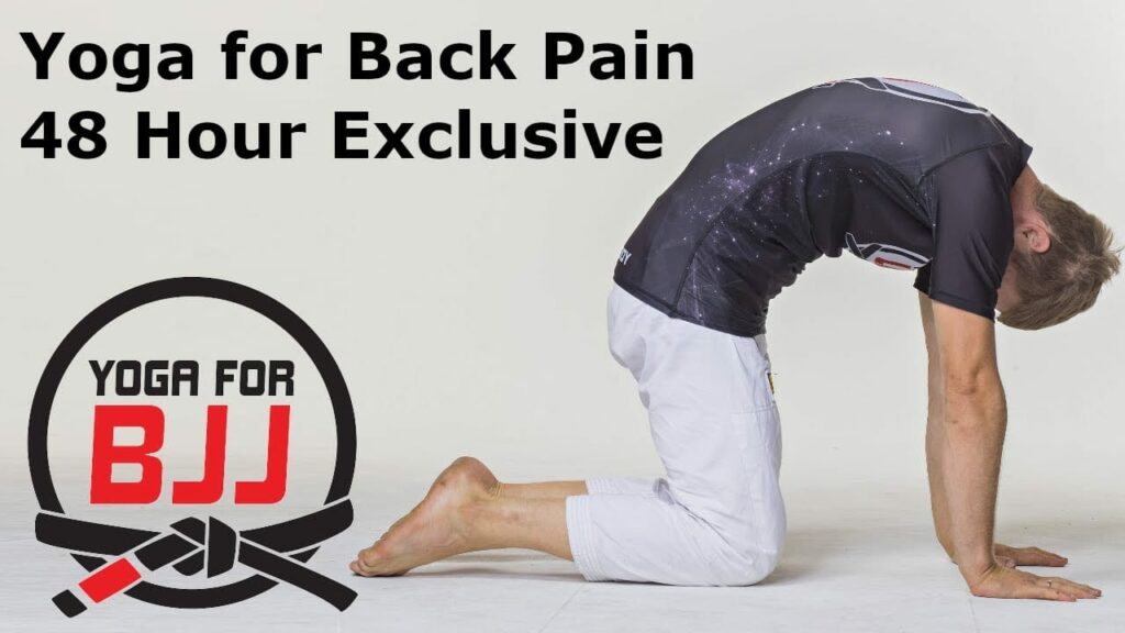 Quarantine Lockdown Exclusive 48 Hour Free Yoga for BJJ Class | Back Pain Program Video 1